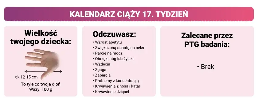 17 tydzień ciąży – jak duża jest wysokość dziecka i co to oznacza